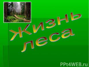 Презентация к уроку окружающего мира 4 класс жизнь леса