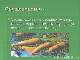 Это выращивание овощных культур: капуста, морковь, томаты, огурцы, лук, чеснок,