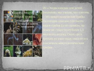 Из «Энциклопедии для детей. Биология» мы узнали, что плесень - это микроскопичес