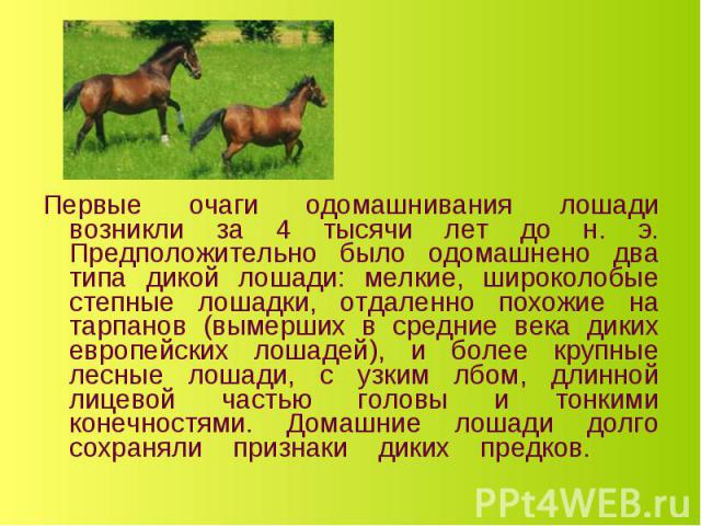 Первые очаги одомашнивания лошади возникли за 4 тысячи лет до н. э. Предположительно было одомашнено два типа дикой лошади: мелкие, широколобые степные лошадки, отдаленно похожие на тарпанов (вымерших в средние века диких европейских лошадей), и бол…