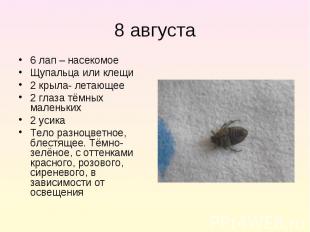 6 лап – насекомое 6 лап – насекомое Щупальца или клещи 2 крыла- летающее 2 глаза