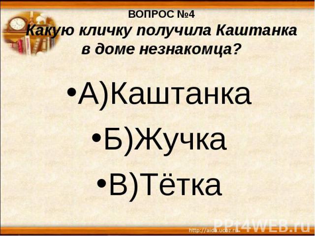 ВОПРОС №4 Какую кличку получила Каштанка в доме незнакомца? А)Каштанка Б)Жучка В)Тётка