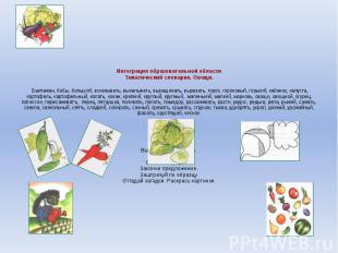 Интеграция образовательной области Тематический словарик. Овощи. Баклажан, бобы,