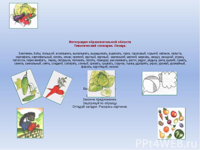 Интеграция образовательной области Тематический словарик. Овощи. Баклажан, бобы, большой, вскапывать, выкапывать, выращивать, вырезать, горох, гороховый, горький, кабачок, капуста, картофель, картофельный, копать, кочан, крепкий, круглый, крупный, м…