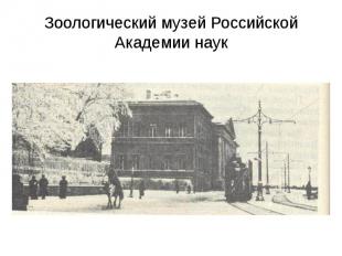 Зоологический музей Российской Академии наук