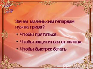 Зачем маленьким гепардам нужна грива? Зачем маленьким гепардам нужна грива? Чтоб