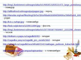 http://img1.liveinternet.ru/images/attach/c/4/83/531/83531473_large_pomidoruy.jp