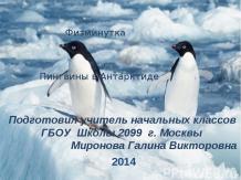 пингвины в Антарктиде физминутка
