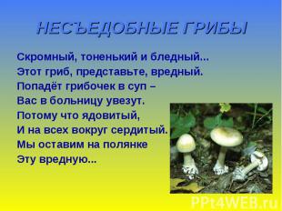 НЕСЪЕДОБНЫЕ ГРИБЫ Скромный, тоненький и бледный... Этот гриб, представьте, вредн