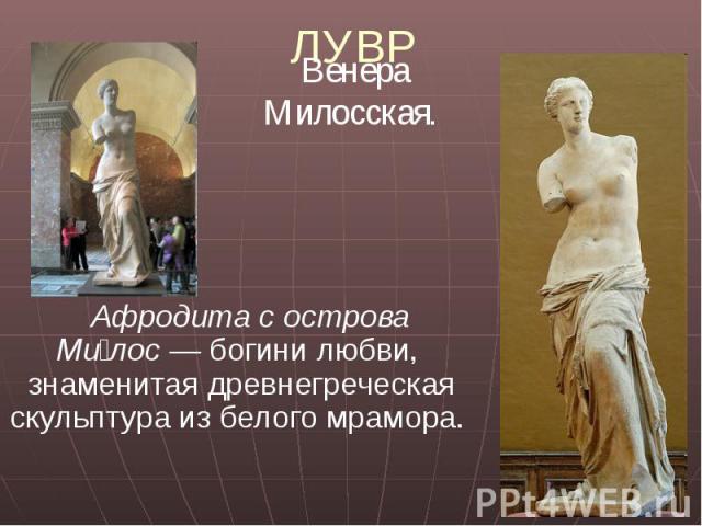 ЛУВР Афродита с острова Ми лос — богини любви, знаменитая древнегреческая скульптура из белого мрамора.