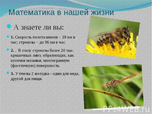 Математика в нашей жизни А знаете ли вы: 1. Скорость полета шмеля – 18 км в час; стрекозы – до 96 км в час. 2. . В глазу стрекозы более 20 тыс. крошечных линз, образующих, как кусочки мозаики, многогранную (фасеточную) поверхность. 3. У пчелы 2 желу…