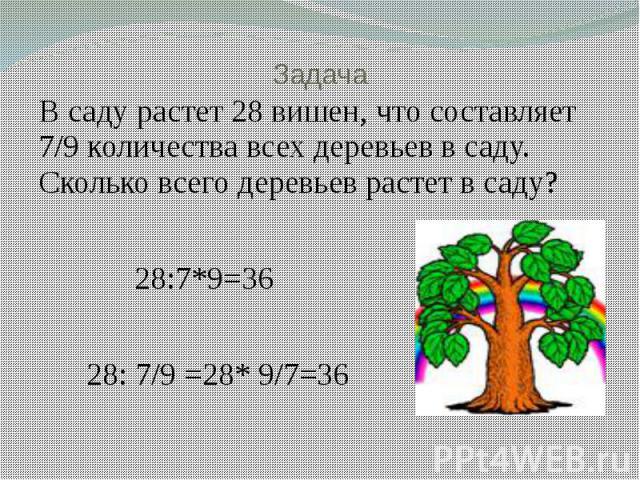 Задача В саду растет 28 вишен, что составляет 7/9 количества всех деревьев в саду. Сколько всего деревьев растет в саду? 28:7*9=36 28: 7/9 =28* 9/7=36