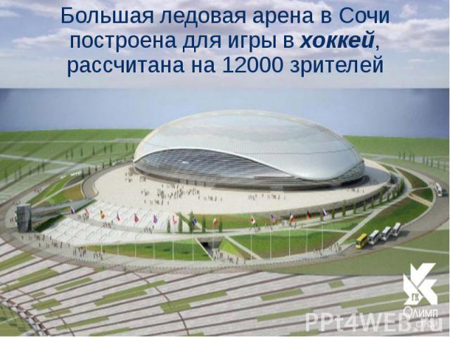 Большая ледовая арена в Сочи построена для игры в хоккей, рассчитана на 12000 зрителей