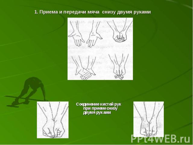 Соединение кистей рук при приеме снизу двумя руками Соединение кистей рук при приеме снизу двумя руками