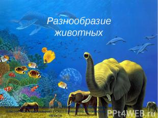 Разнообразие животных Выполнила Азимова Светлана Сергеевна учитель начальных кла