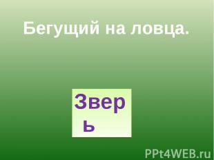 Зверь Зверь