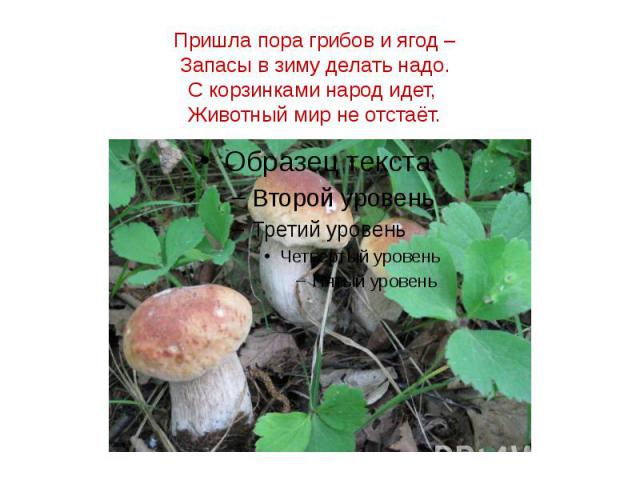 Пришла пора грибов и ягод – Запасы в зиму делать надо. С корзинками народ идет, Животный мир не отстаёт.