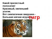 Тигр - самое популярное животное мира