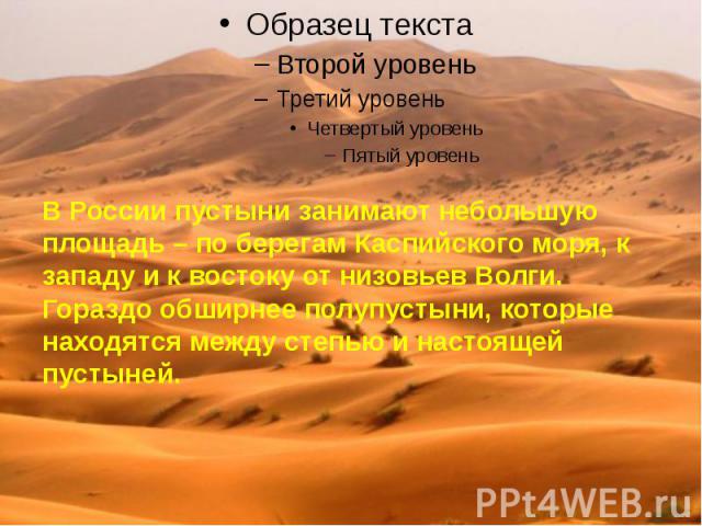 В России пустыни занимают небольшую площадь – по берегам Каспийского моря, к западу и к востоку от низовьев Волги. Гораздо обширнее полупустыни, которые находятся между степью и настоящей пустыней.
