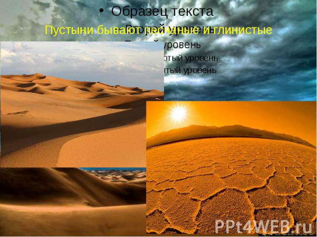 Пустыни бывают песчаные и глинистые