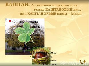 КАШТАН. А с каштана ветер сбросил не только КАШТАНОВЫЙ лист, но и КАШТАНОРВЫЕ пл