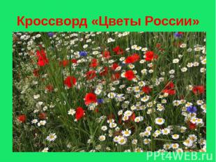 Кроссворд «Цветы России»