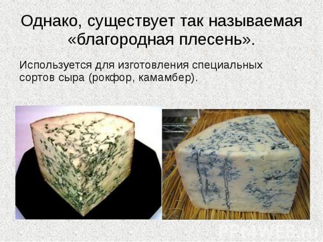 Однако, существует так называемая «благородная плесень». Используется для изготовления специальных сортов сыра (рокфор, камамбер).