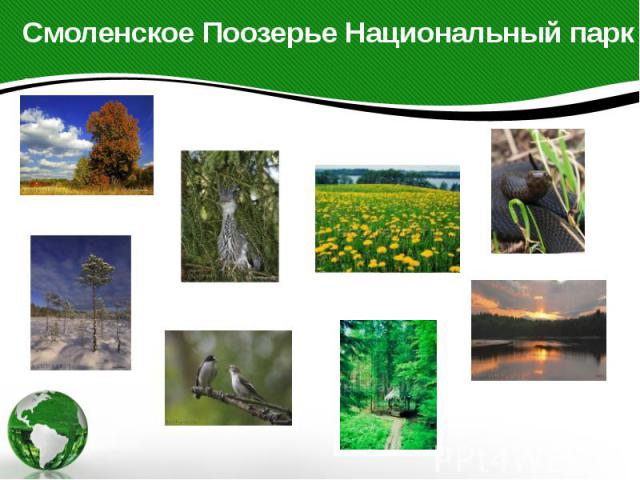 Смоленское Поозерье Национальный парк .