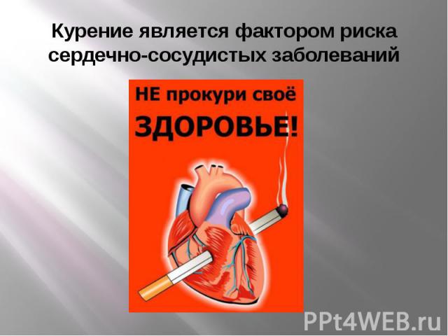 Курение является фактором риска сердечно-сосудистых заболеваний