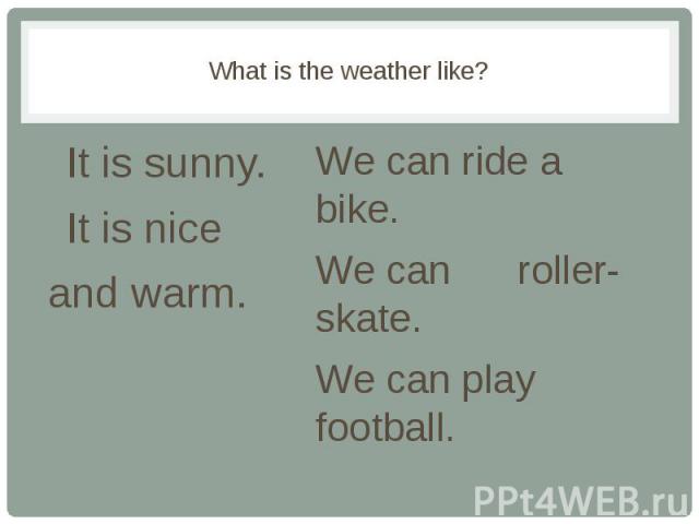 What is the weather like? It is sunny. It is nice and warm.