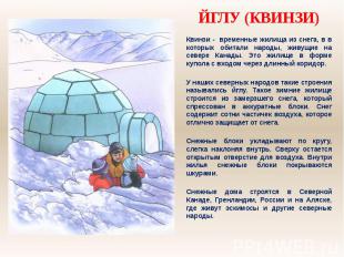 ЙГЛУ (КВИНЗИ) Квинзи - временные жилища из снега, в в которых обитали народы, жи