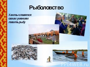 Рыболовство Ханты славятся своим умением ловить рыбу
