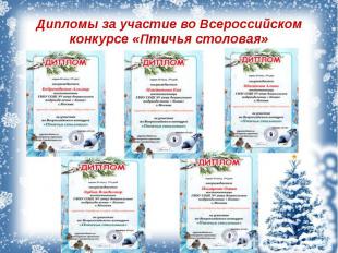Дипломы за участие во Всероссийском конкурсе «Птичья столовая»