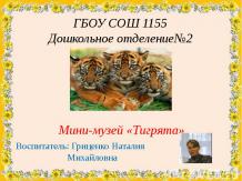 Мини-музей «Тигрята»