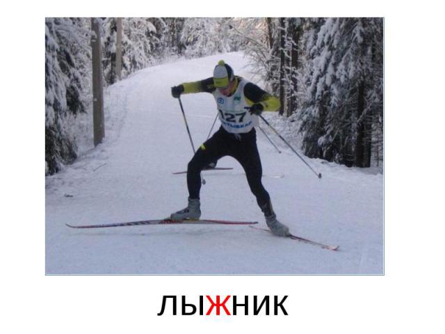 лыжник