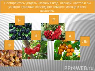 Постарайтесь угадать названия ягод, овощей, цветов и вы узнаете названия последн