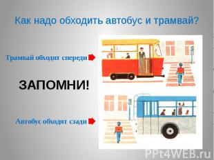 Как надо обходить автобус и трамвай?