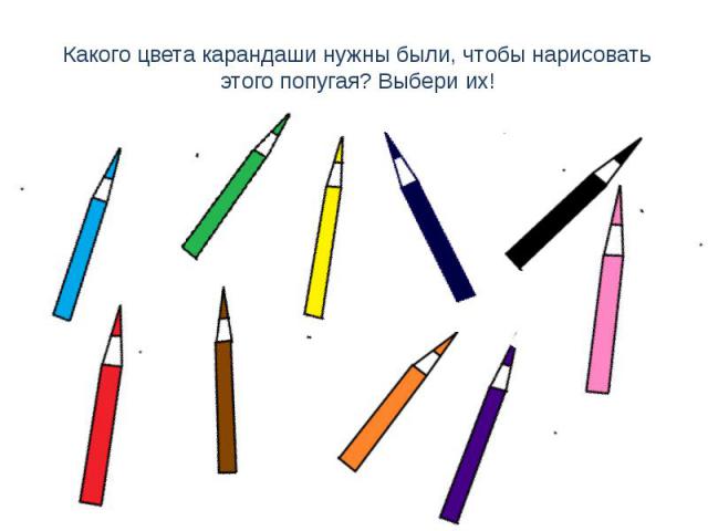 Какого цвета карандаши нужны были, чтобы нарисовать этого попугая? Выбери их!