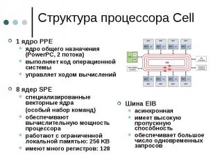Структура процессора Cell 1 ядро PPE ядро общего назначения (PowerPC, 2 потока)
