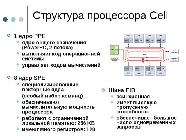 Структура процессора Cell 1 ядро PPE ядро общего назначения (PowerPC, 2 потока) выполняет код операционной системы управляет ходом вычислений 8 ядер SPE специализированные векторные ядра (особый набор команд) обеспечивают вычислительную мощность про…