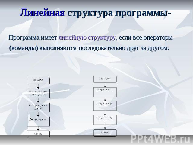 Линейная структура программы- Программа имеет линейную структуру, если все операторы (команды) выполняются последовательно друг за другом.                   &n…