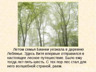 Летом семья Бианки уезжала в деревню Лебяжье. Здесь Витя впервые отправился в на