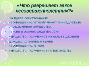 На праве собственности несовершеннолетнему может принадлежать определенное имуще