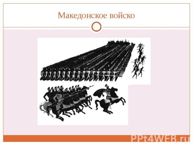 Македонское войско