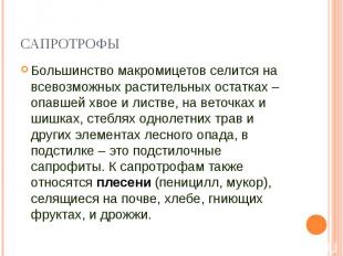 Большинство макромицетов селится на всевозможных растительных остатках – опавшей