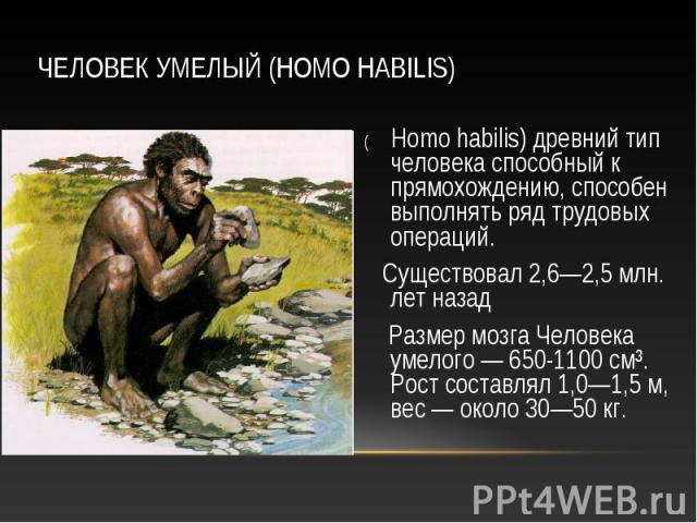 ( Homo habilis) древний тип человека способный к прямохождению, способен выполнять ряд трудовых операций. ( Homo habilis) древний тип человека способный к прямохождению, способен выполнять ряд трудовых операций. Существовал 2,6—2,5 млн. лет назад Ра…