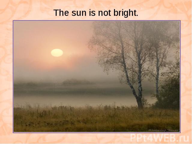 The sun is not bright.
