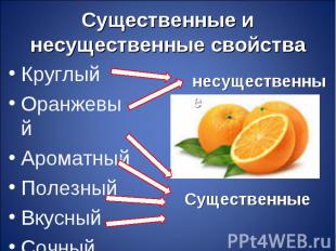 Круглый Круглый Оранжевый Ароматный Полезный Вкусный Сочный