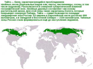 Тайга&nbsp;—&nbsp;биом, характеризующийся преобладанием хвойных&nbsp;лесов&nbsp;