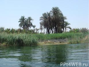 Реки Африки - Нил